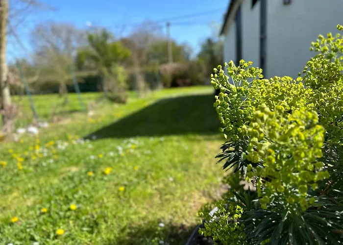 La Little White House Appartement *